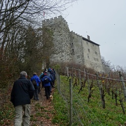 Wildegg - Habsburg - Brugg16. November 2017